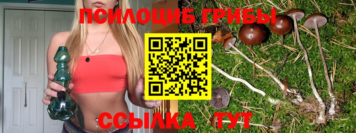 Псилоцибиновые грибы мухоморы  Вход с VPN  Белово 
