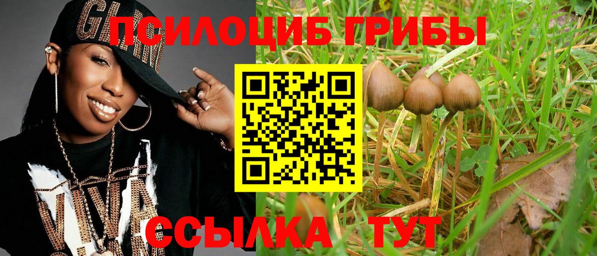 Галлюциногенные грибы мухоморы Белово